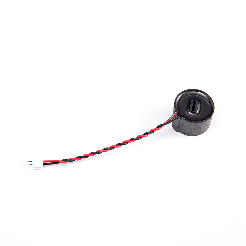 FHCT-019