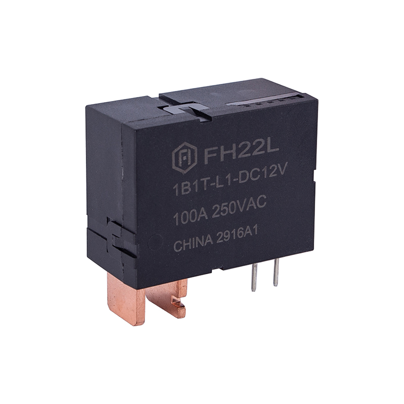 Releu de blocare FH22L 100A Conform IEC62052-31 UC2