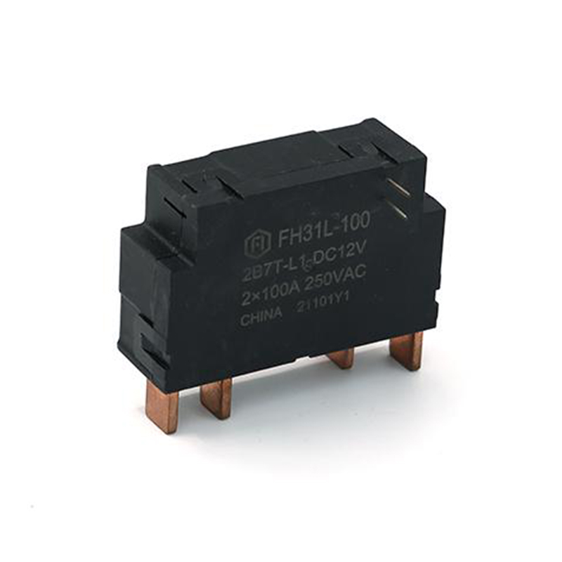 Releu de blocare FH31L-100 100A Conform IEC62052-31 UC3